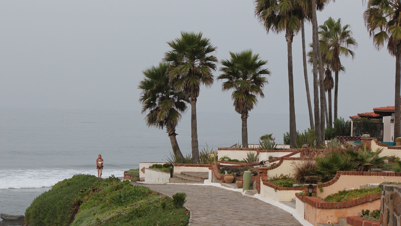 Photo of Others in Las Gaviotas