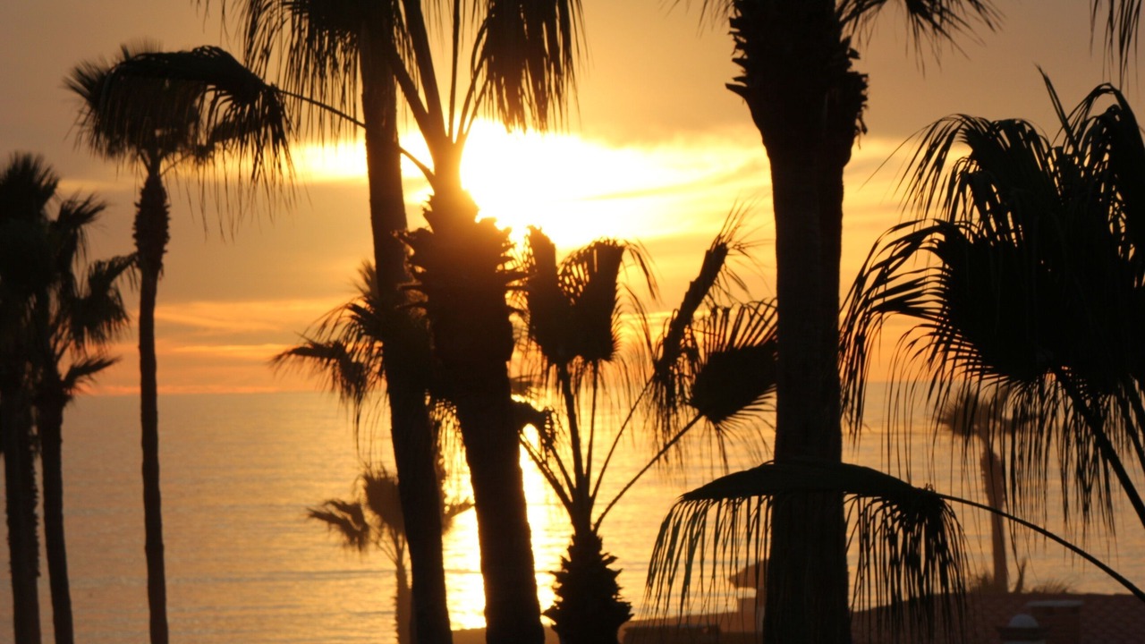 Photo of Outdoor in Las Gaviotas