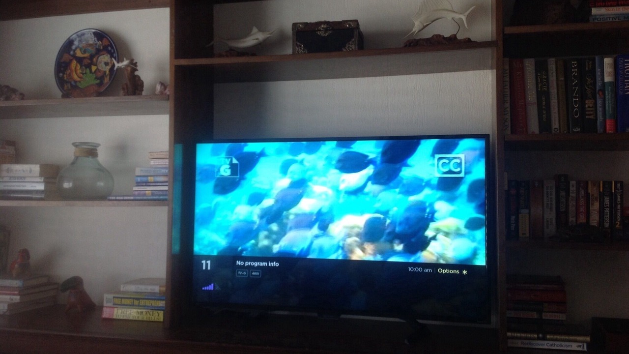 Photo of Others in Las Gaviotas