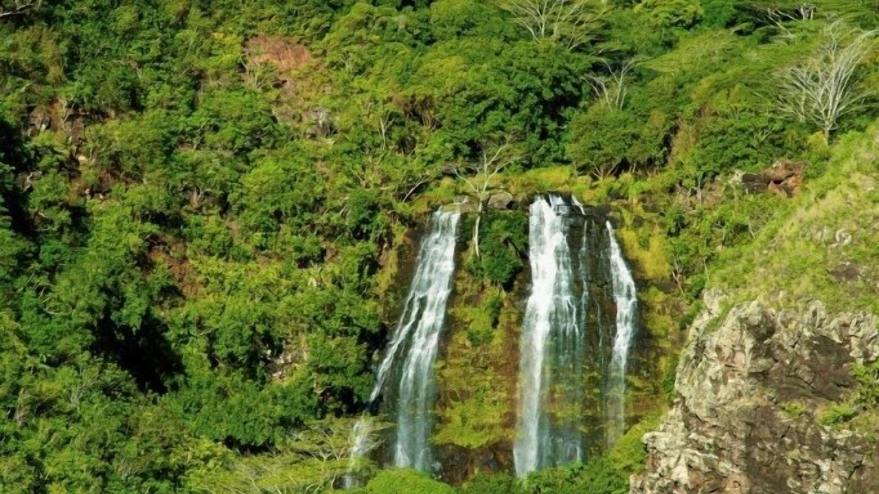 Photo of Others in Hanamaulu