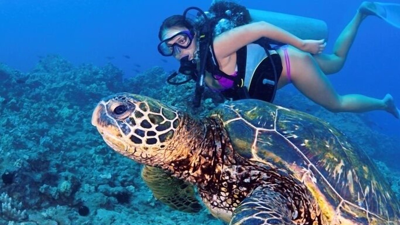 Photo of Others in Hanamaulu