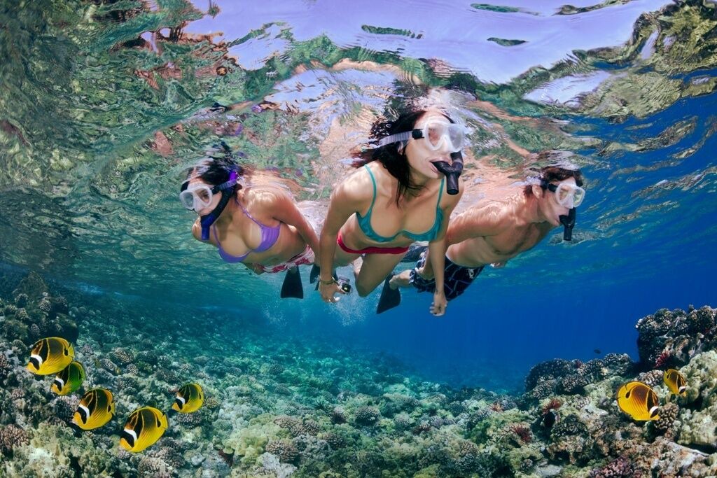 Photo of Others in Hanamaulu