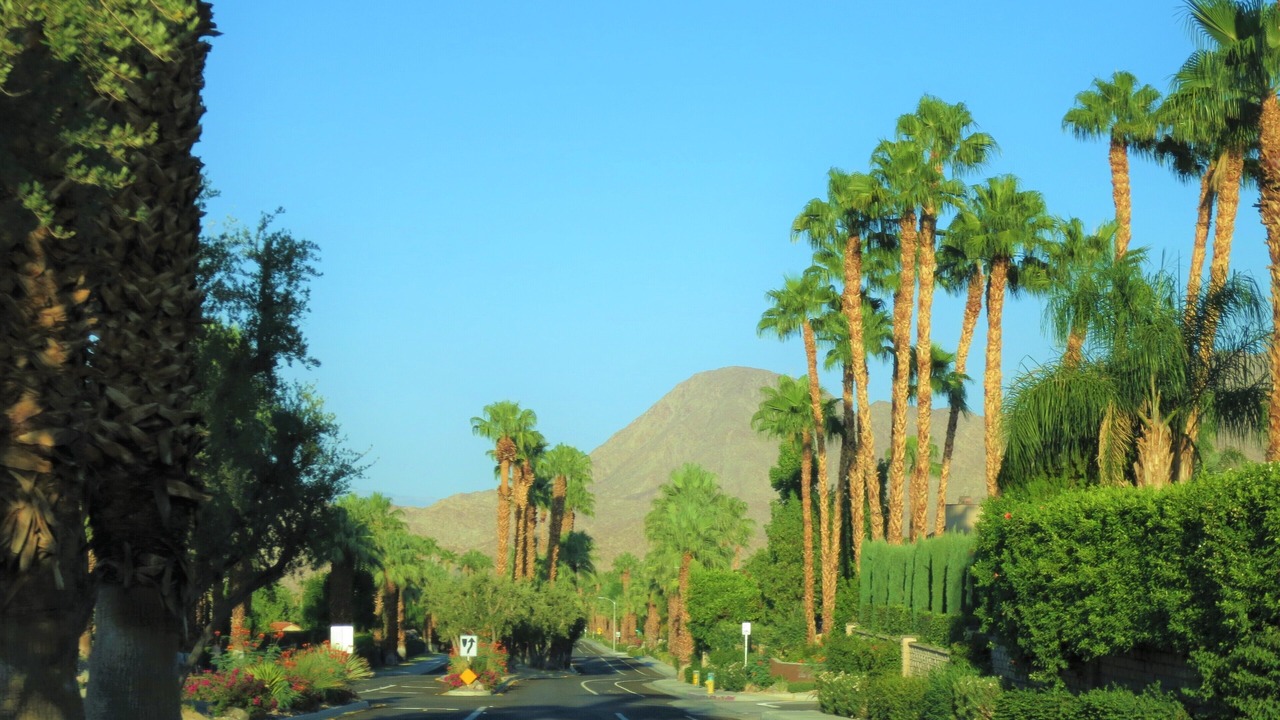 Photo of Others in Palm Desert