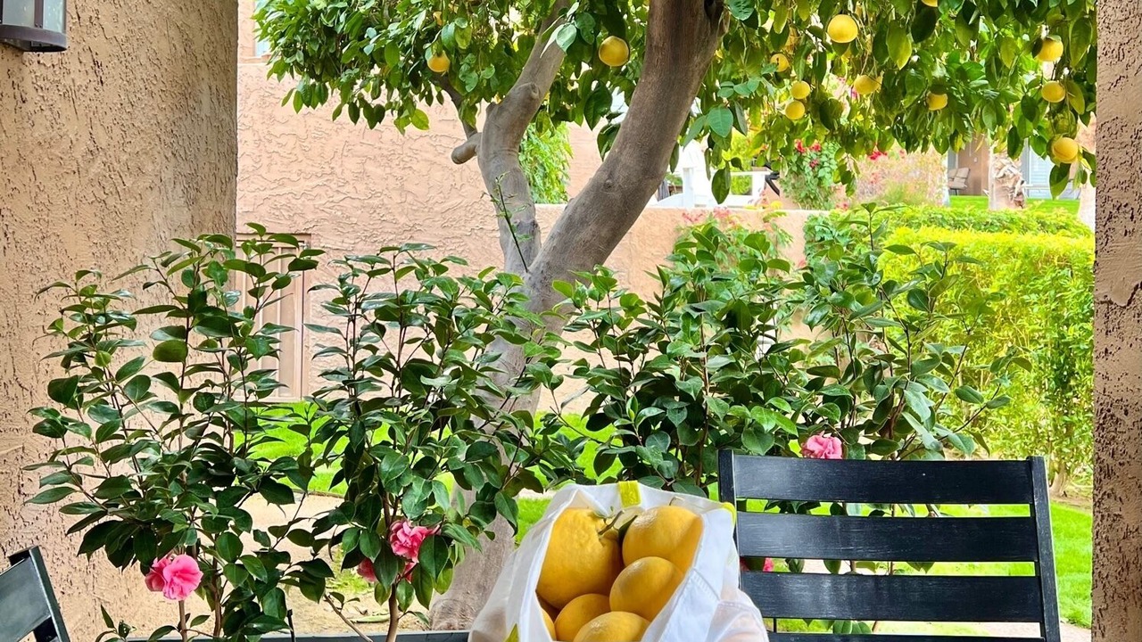 Photo of Outdoor in Palm Desert