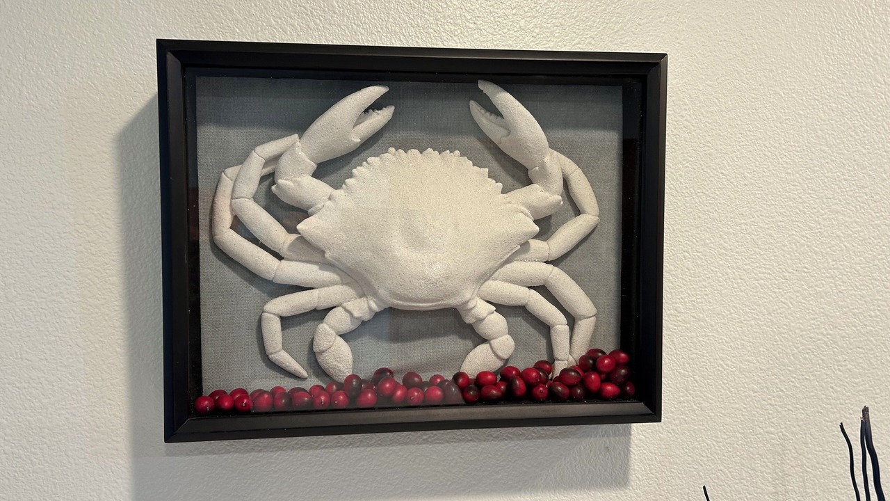 Photo of Others in Westport