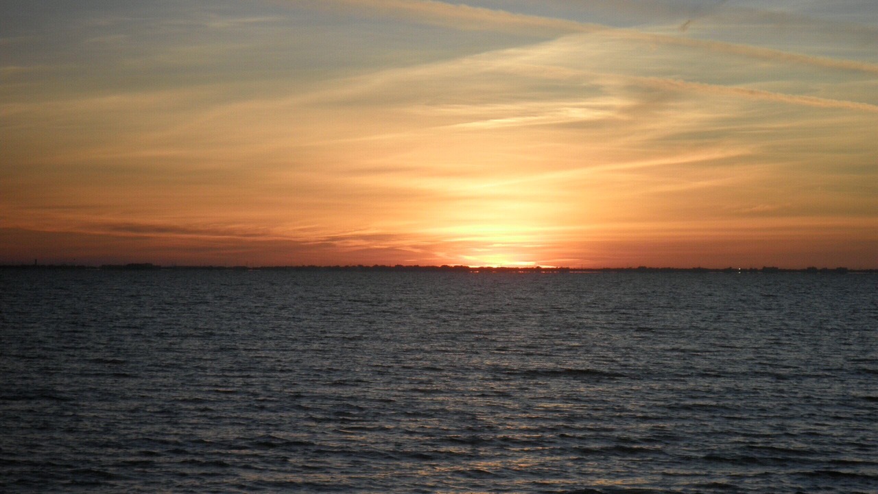 Photo of Others in Rocky Point