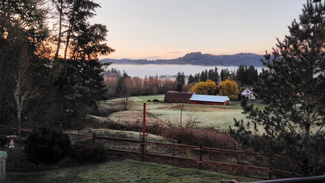 Photo of Outdoor in Woodland