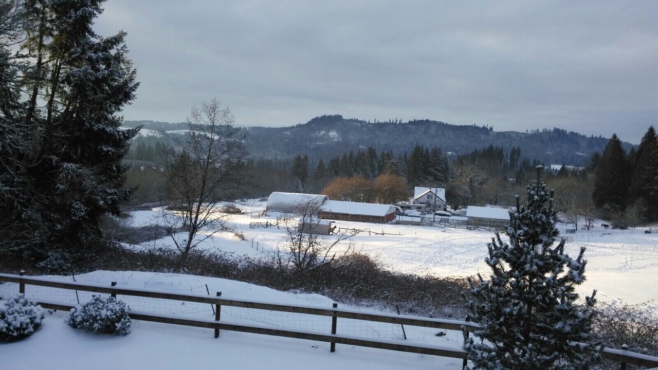 Photo of Others in Woodland