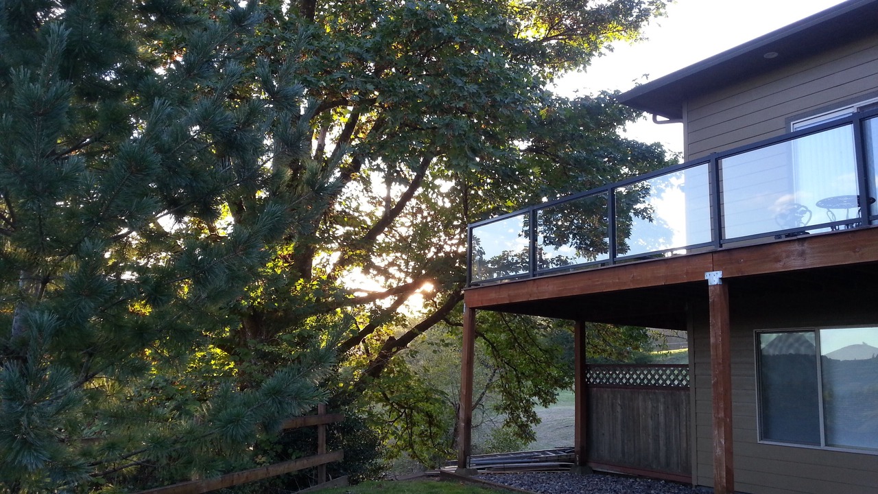 Photo of Outdoor in Woodland