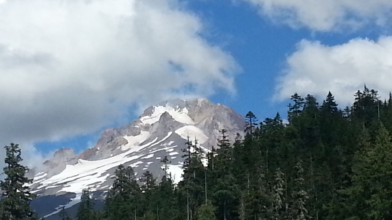 Photo of Others in Woodland