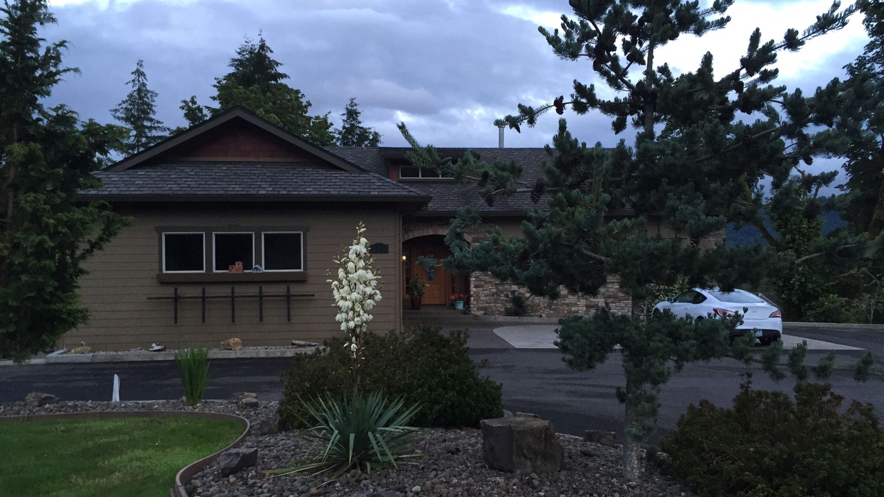 Photo of Outdoor in Woodland