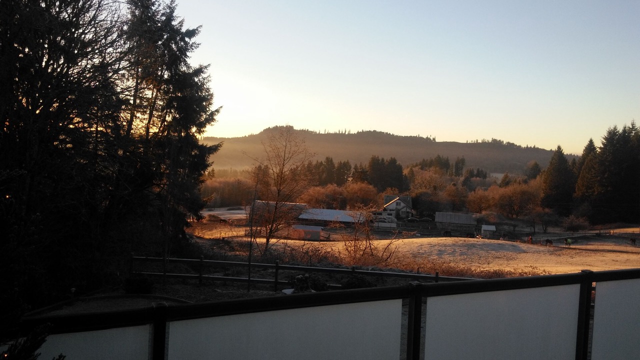 Photo of Others in Woodland