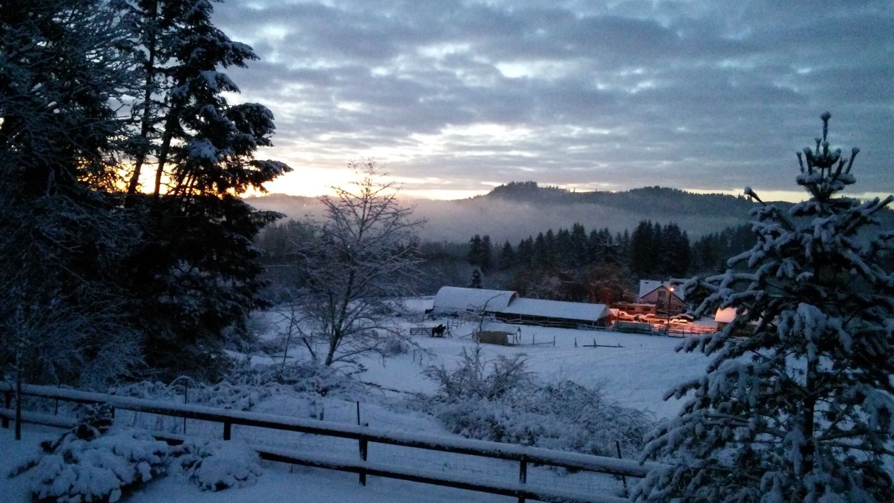 Photo of Others in Woodland