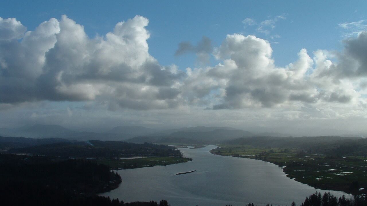 Photo of Others in Woodland