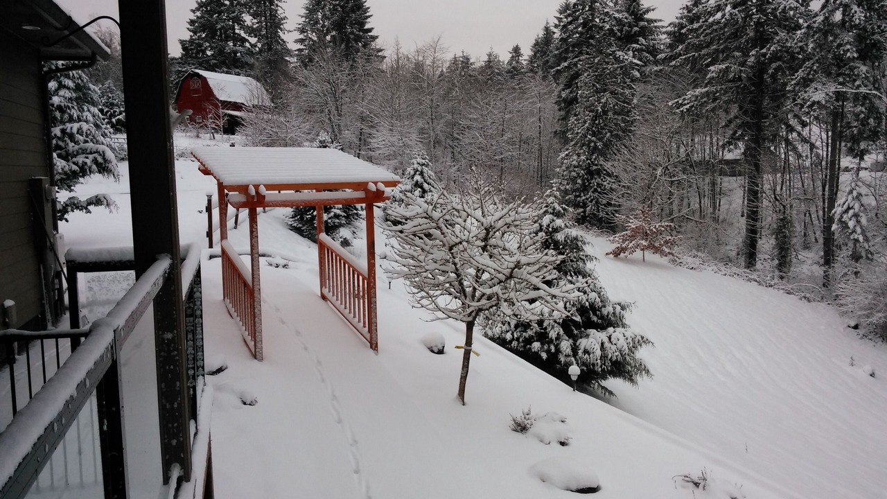 Photo of Outdoor in Woodland