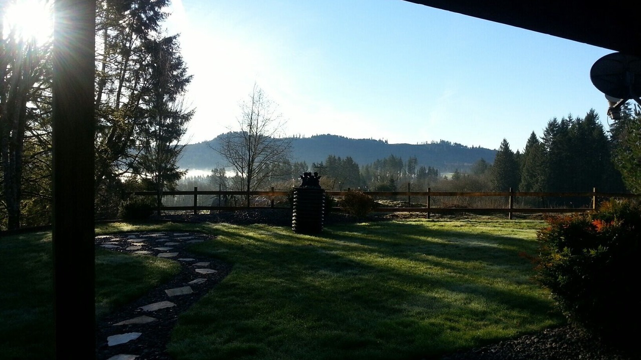 Photo of Others in Woodland