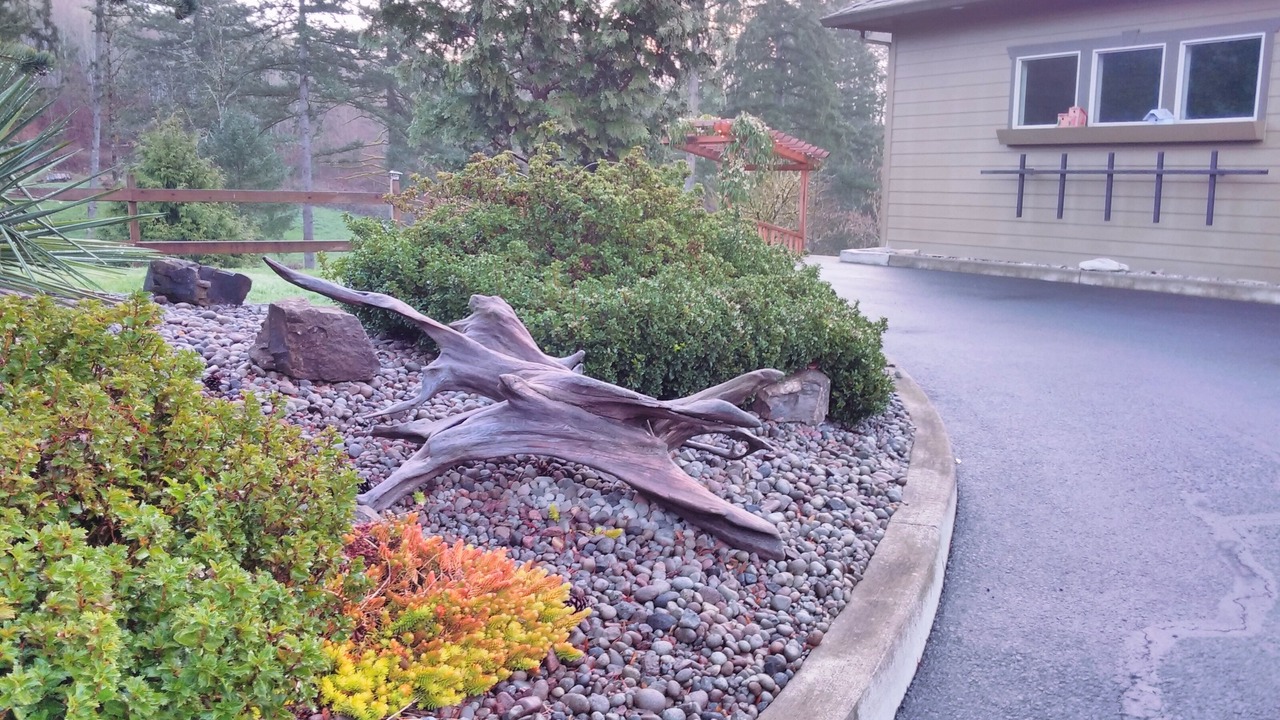 Photo of Outdoor in Woodland