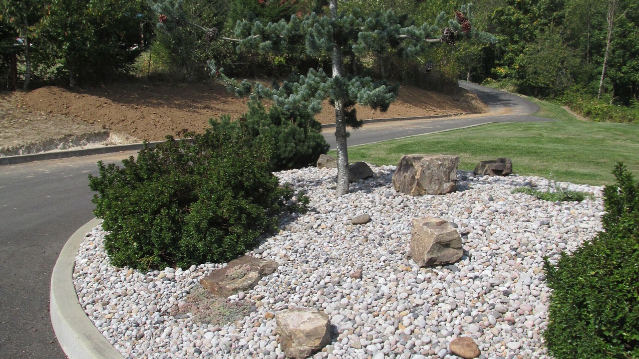 Photo of Outdoor in Woodland