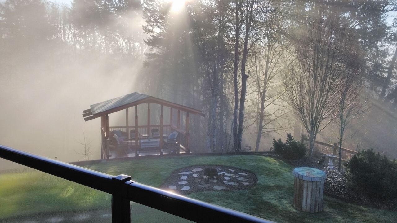 Photo of Outdoor in Woodland