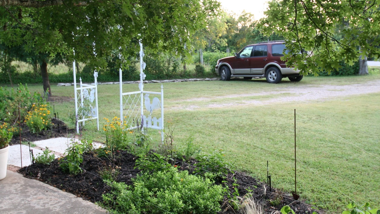 Photo of Outdoor in Manchaca