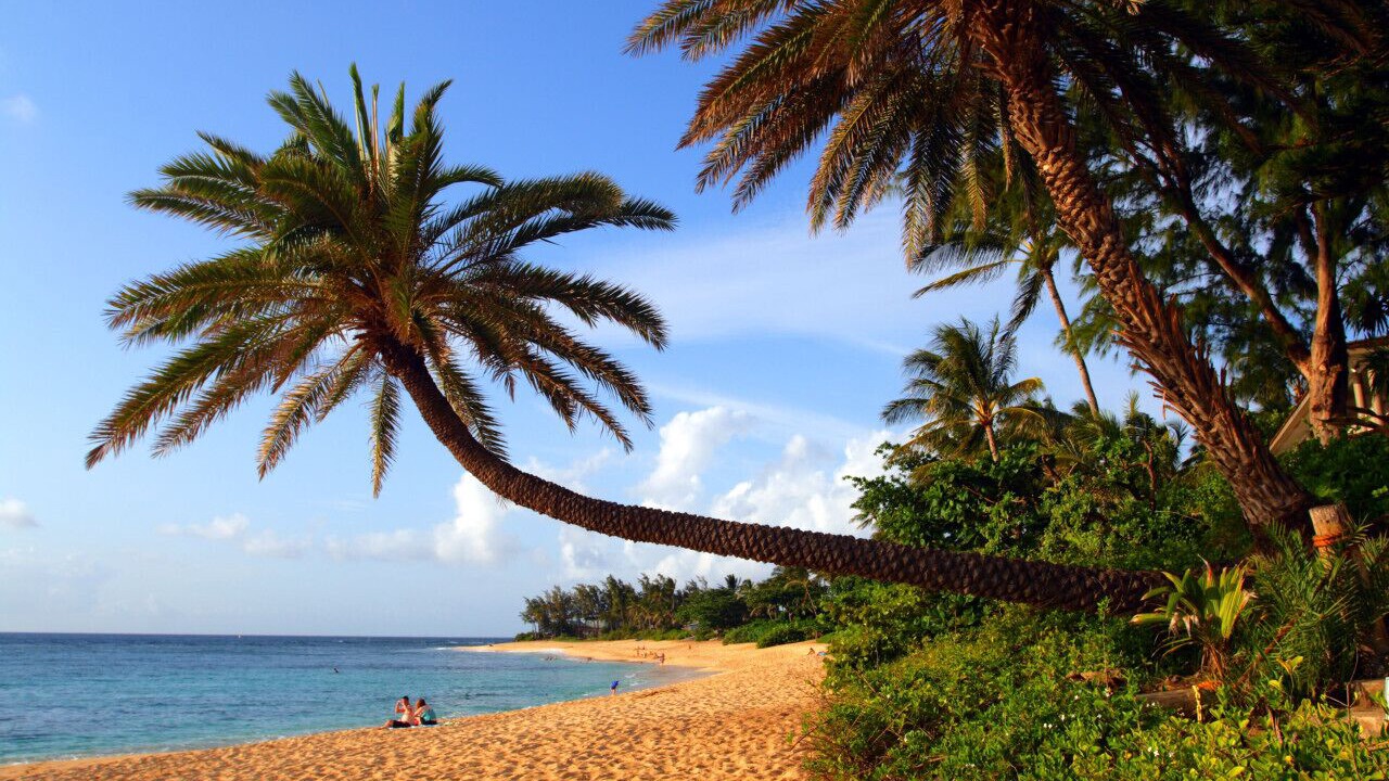 Photo of Others in Kahuku