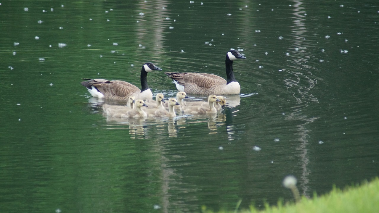 Photo of Others in Marthasville