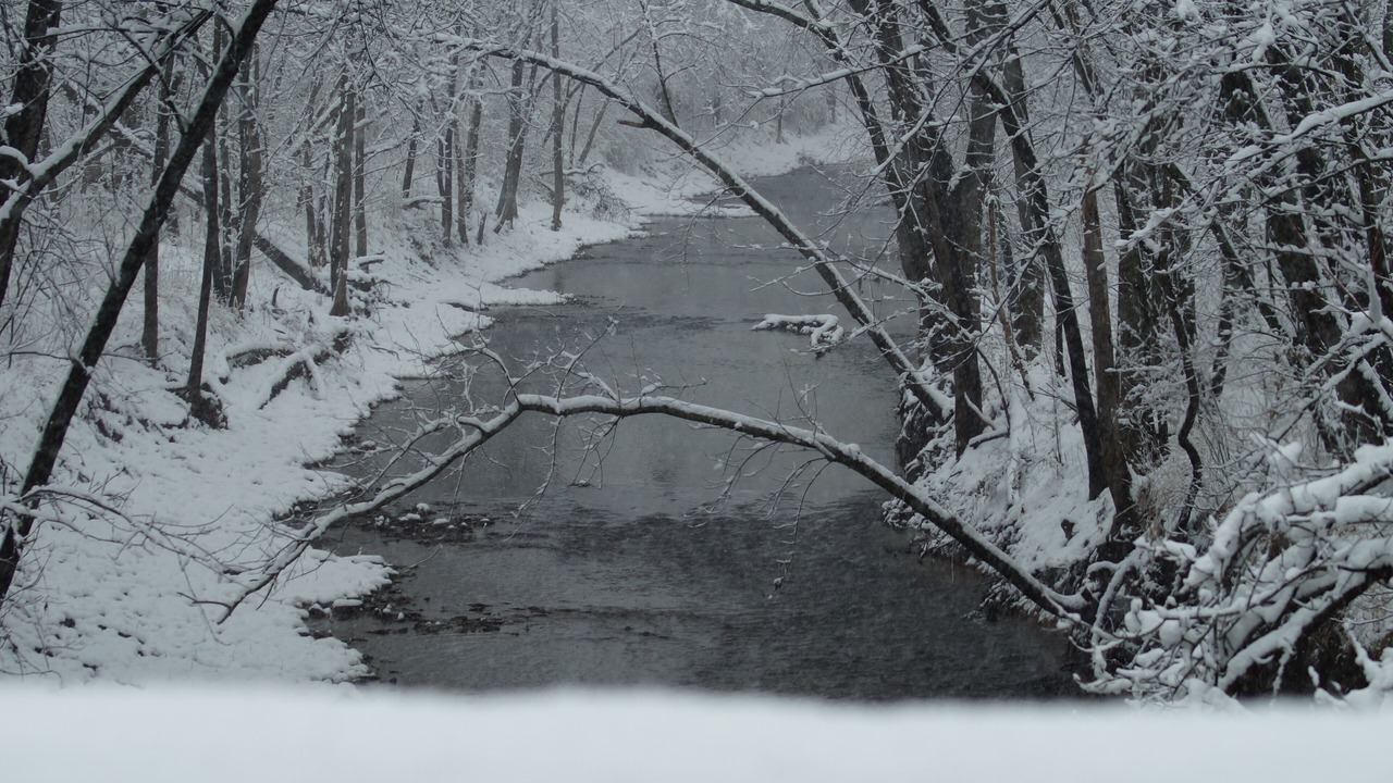 Photo of Others in Marthasville