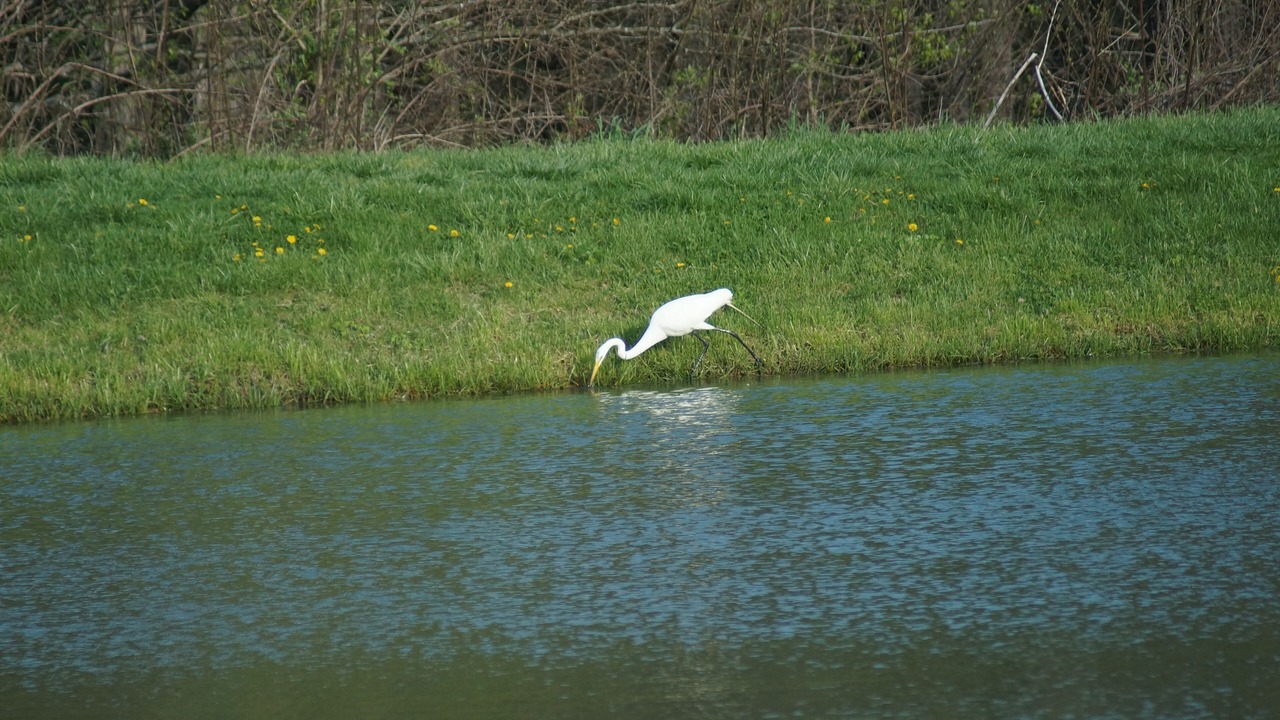 Photo of Others in Marthasville