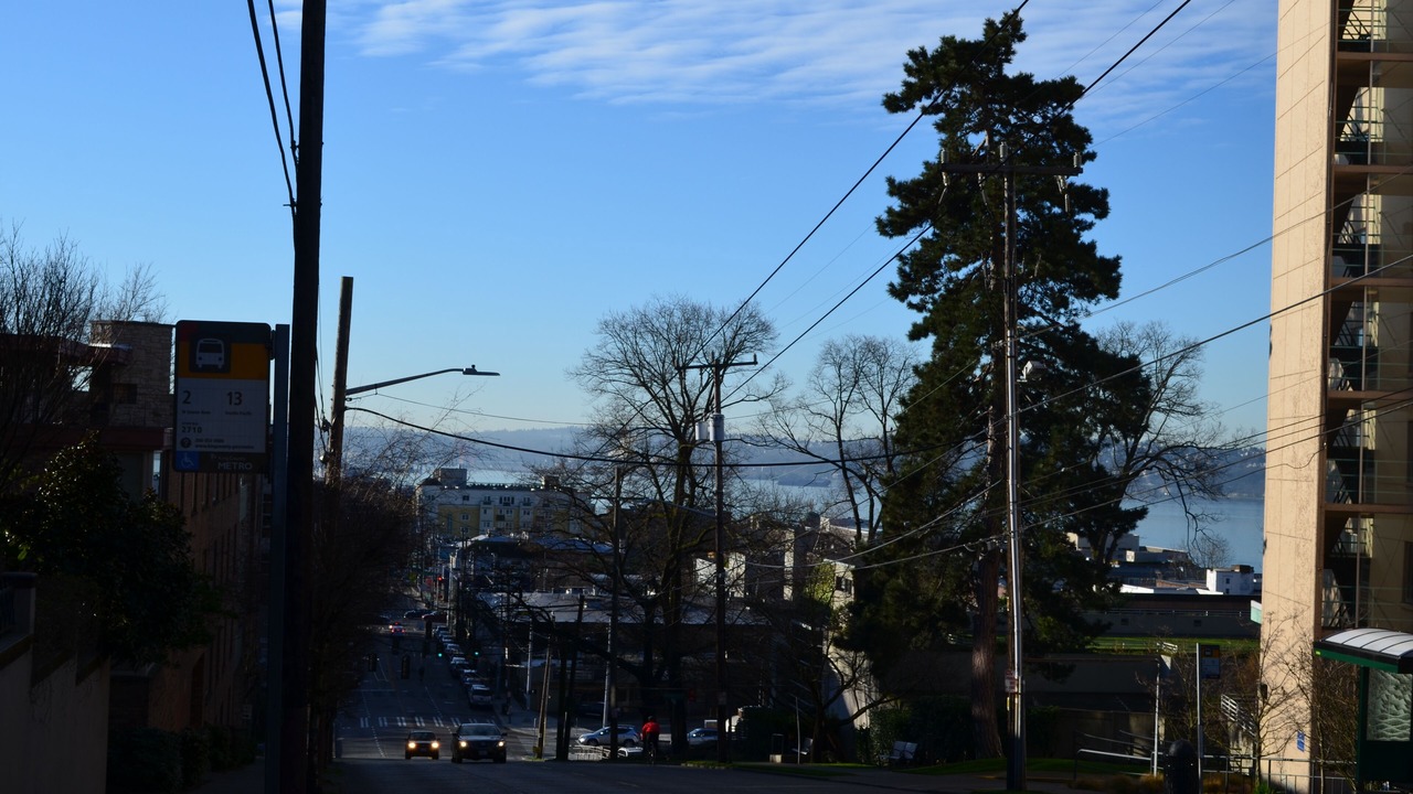 Photo of Others in Lower Queen Anne