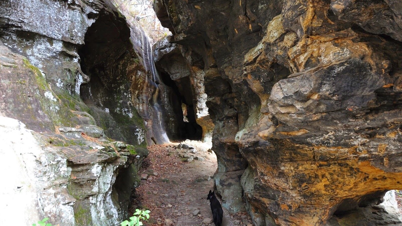Photo of Outdoor in Dover