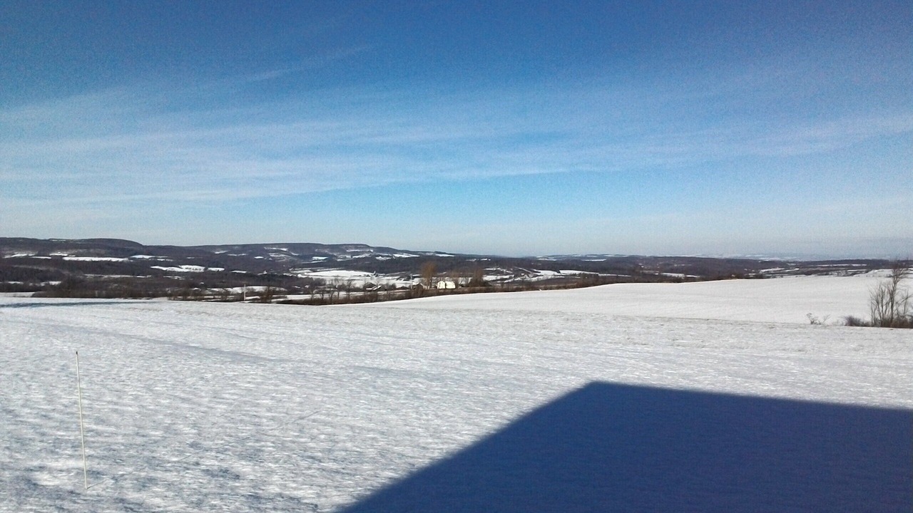 Photo of Bedroom in Sprout Brook