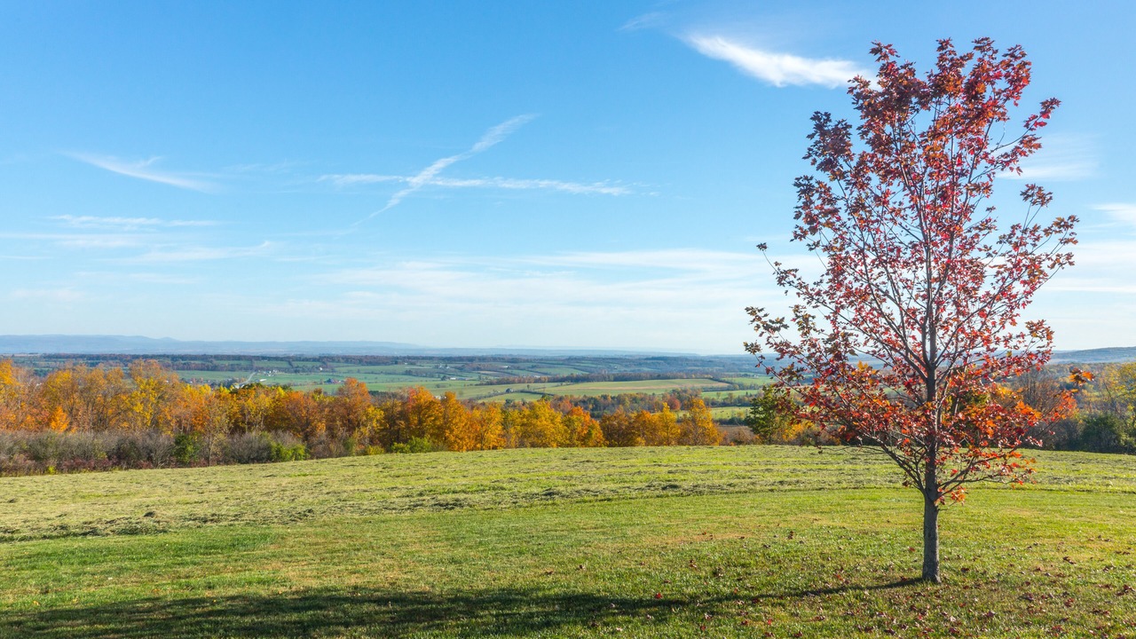 Photo of Others in Sprout Brook