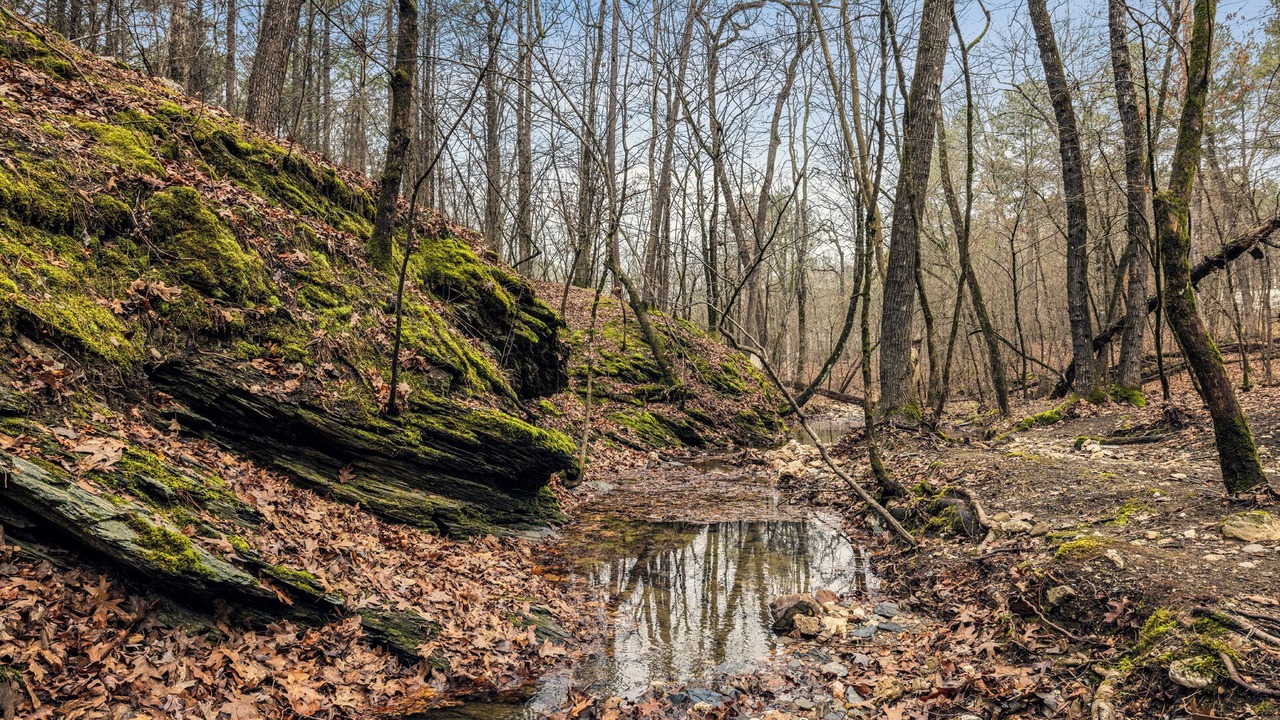 Photo of Outdoor in Broken Bow