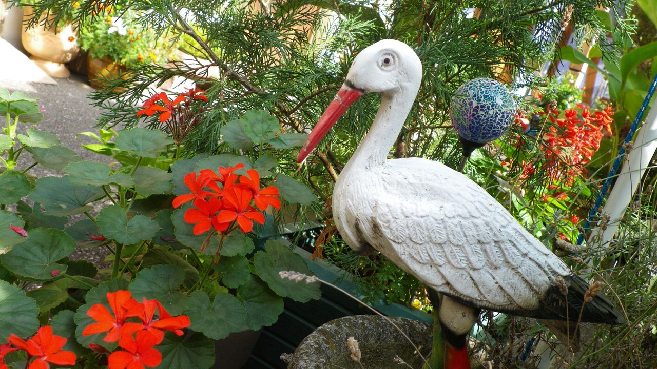 Photo of Outdoor in Kintzheim