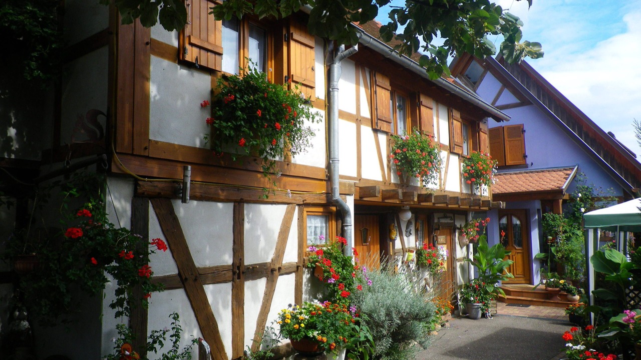 Photo of Outdoor in Kintzheim