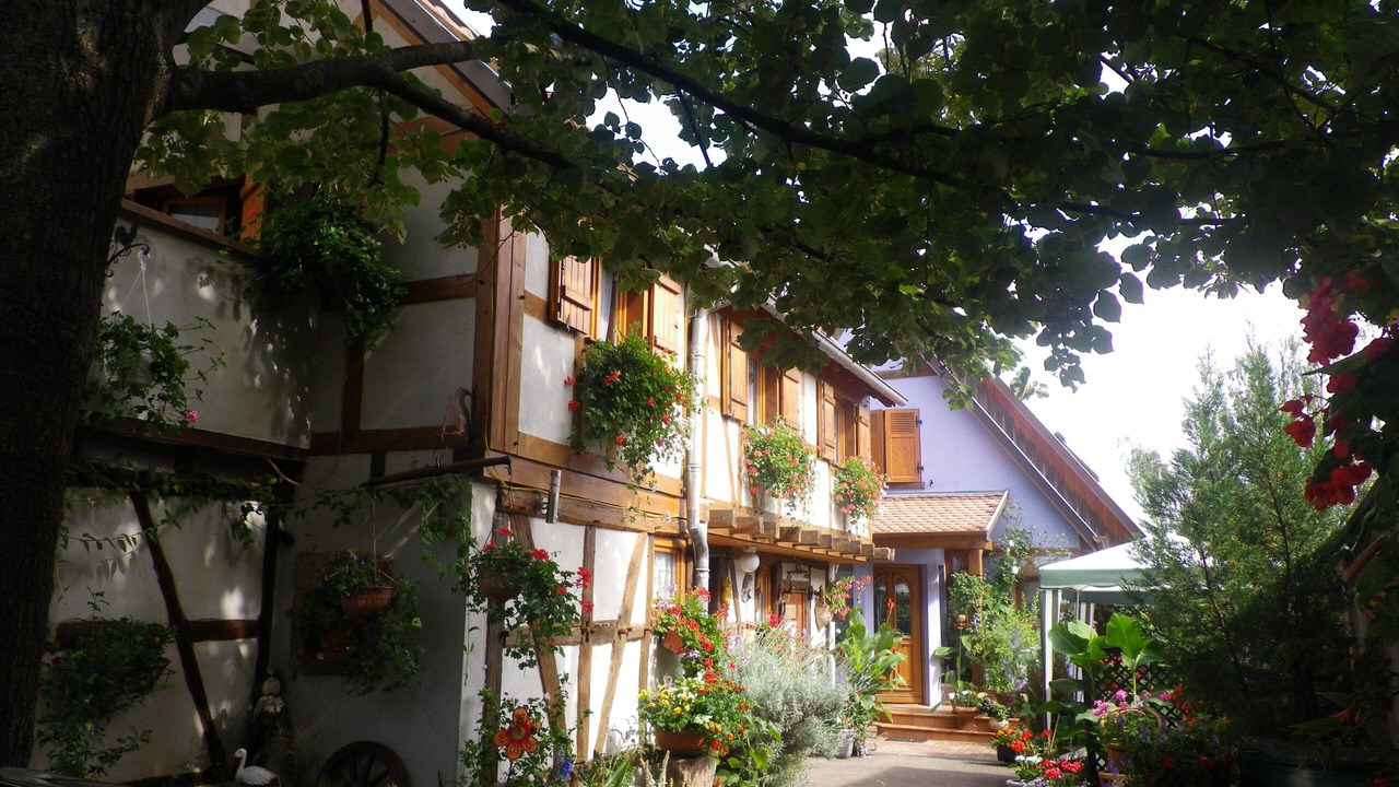 Photo of Outdoor in Kintzheim