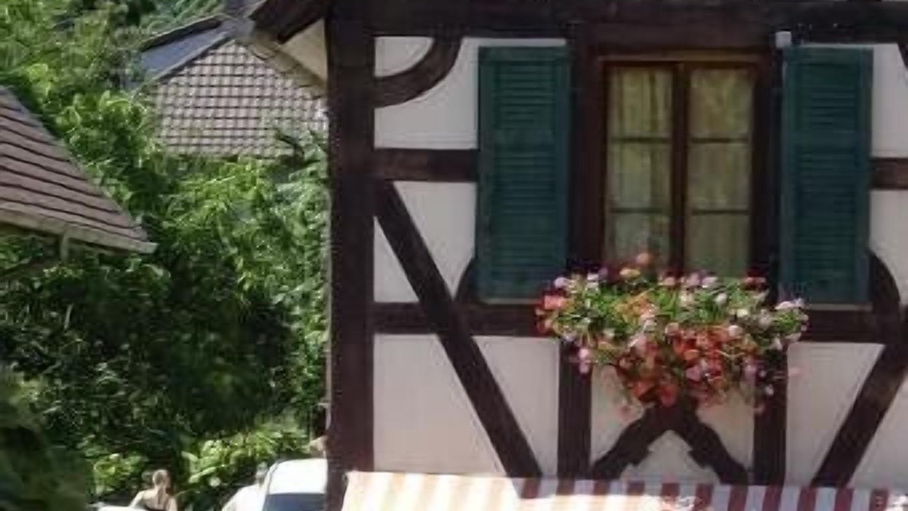 Photo of Outdoor in Kintzheim