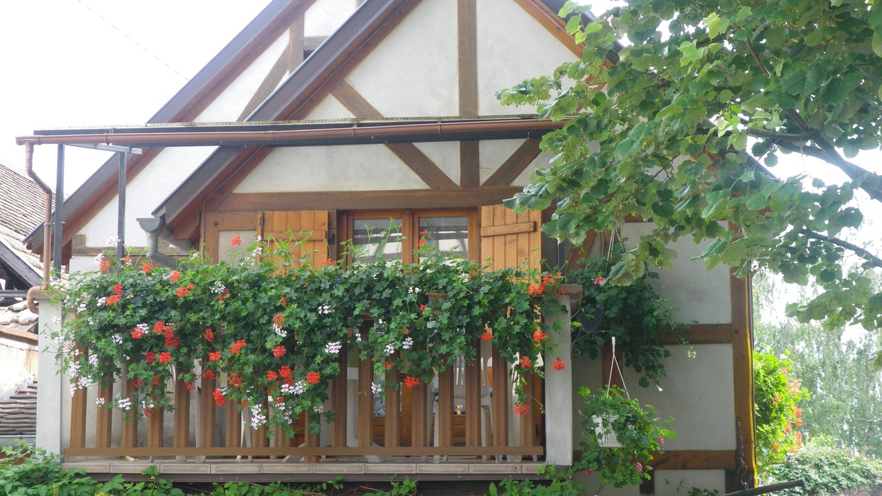 Photo of Outdoor in Kintzheim