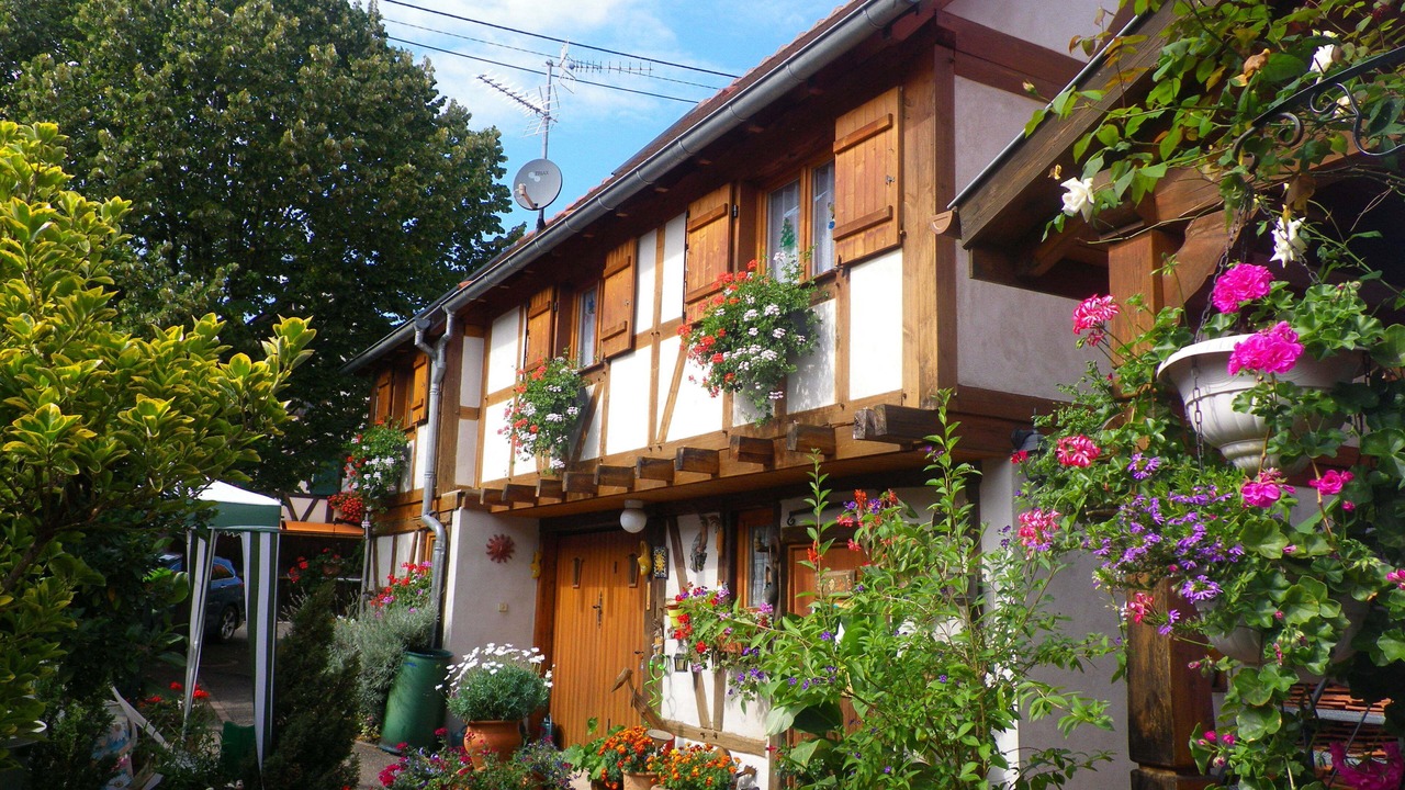 Photo of Outdoor in Kintzheim