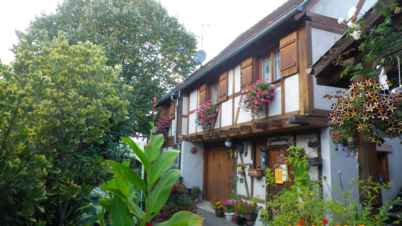 Photo of Outdoor in Kintzheim