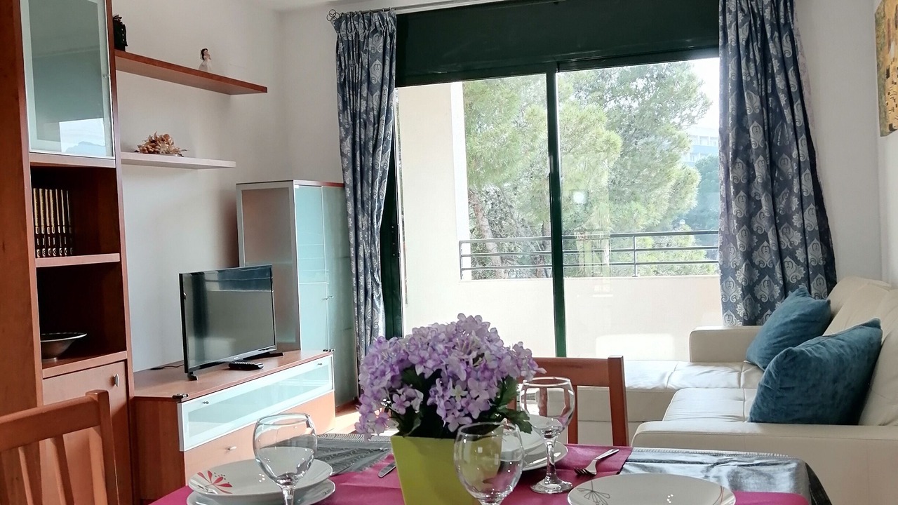 Photo of Livingroom in Miami Platja