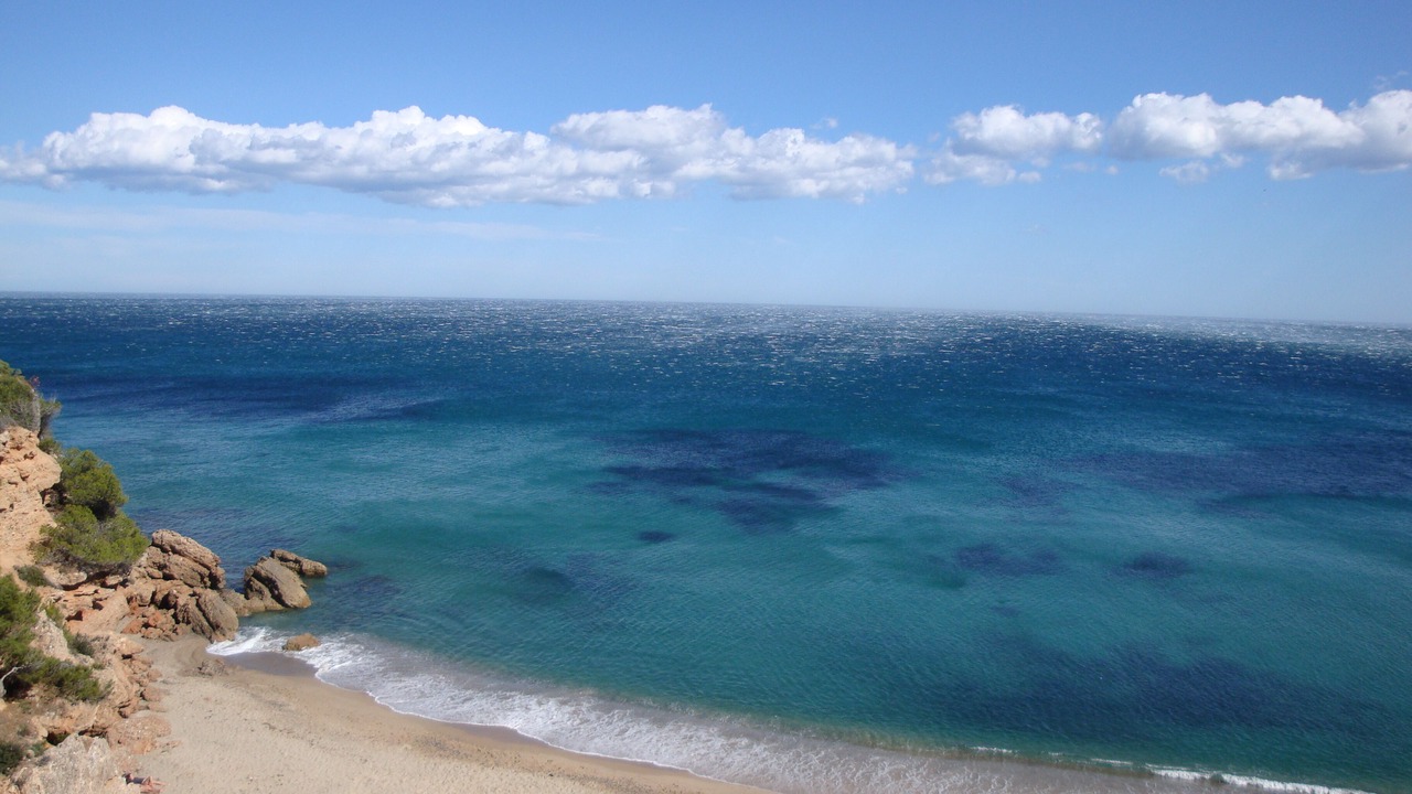 Photo of Others in Miami Platja