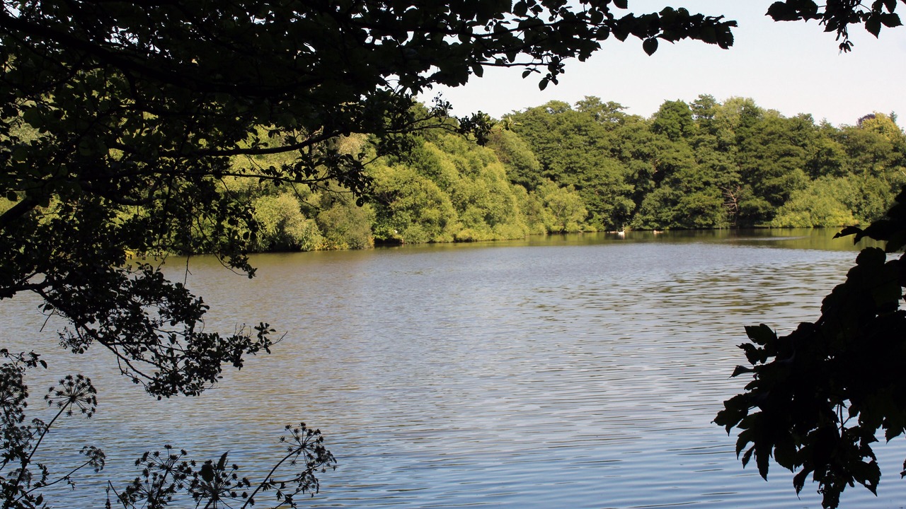 Photo of Others in Godstone