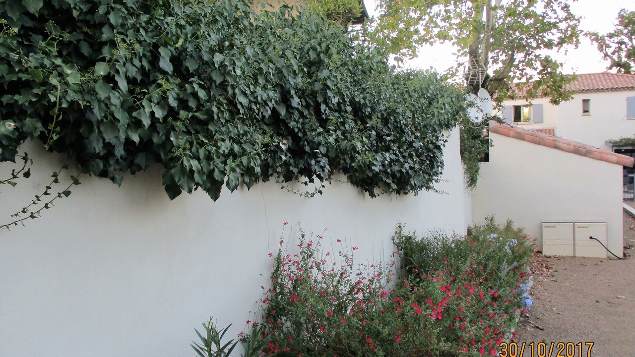 Photo of Outdoor in Lezignan-la-Cebe