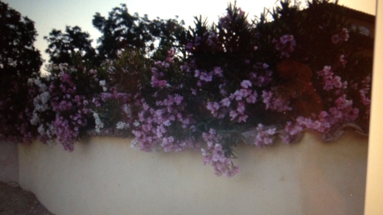 Photo of Outdoor in Tourrettes