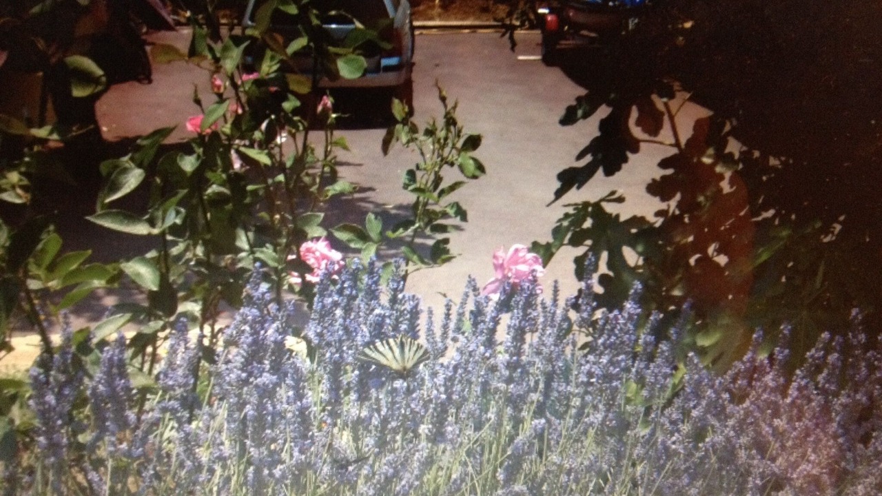 Photo of Outdoor in Tourrettes