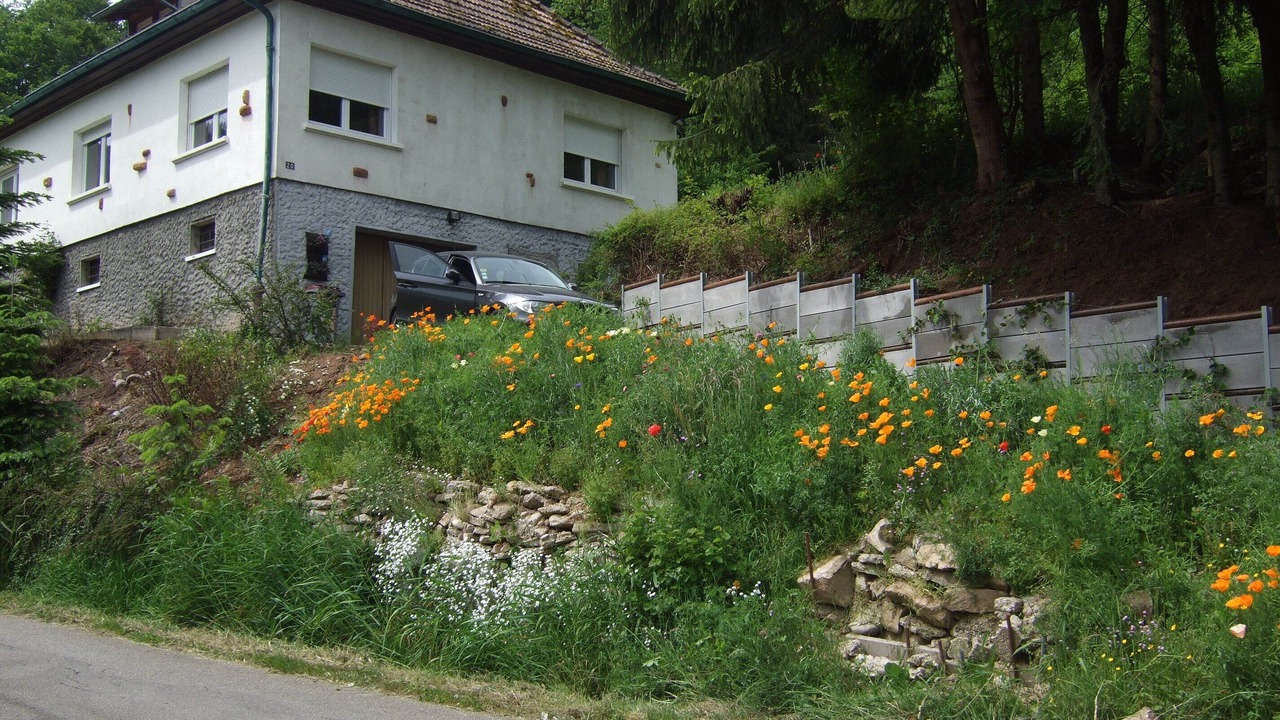 Photo of Outdoor in Breitenbach-Haut-Rhin