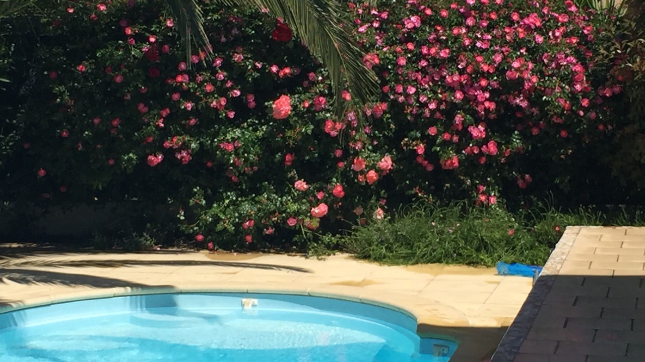 Photo of Outdoor in Saint-Cyprien Plage