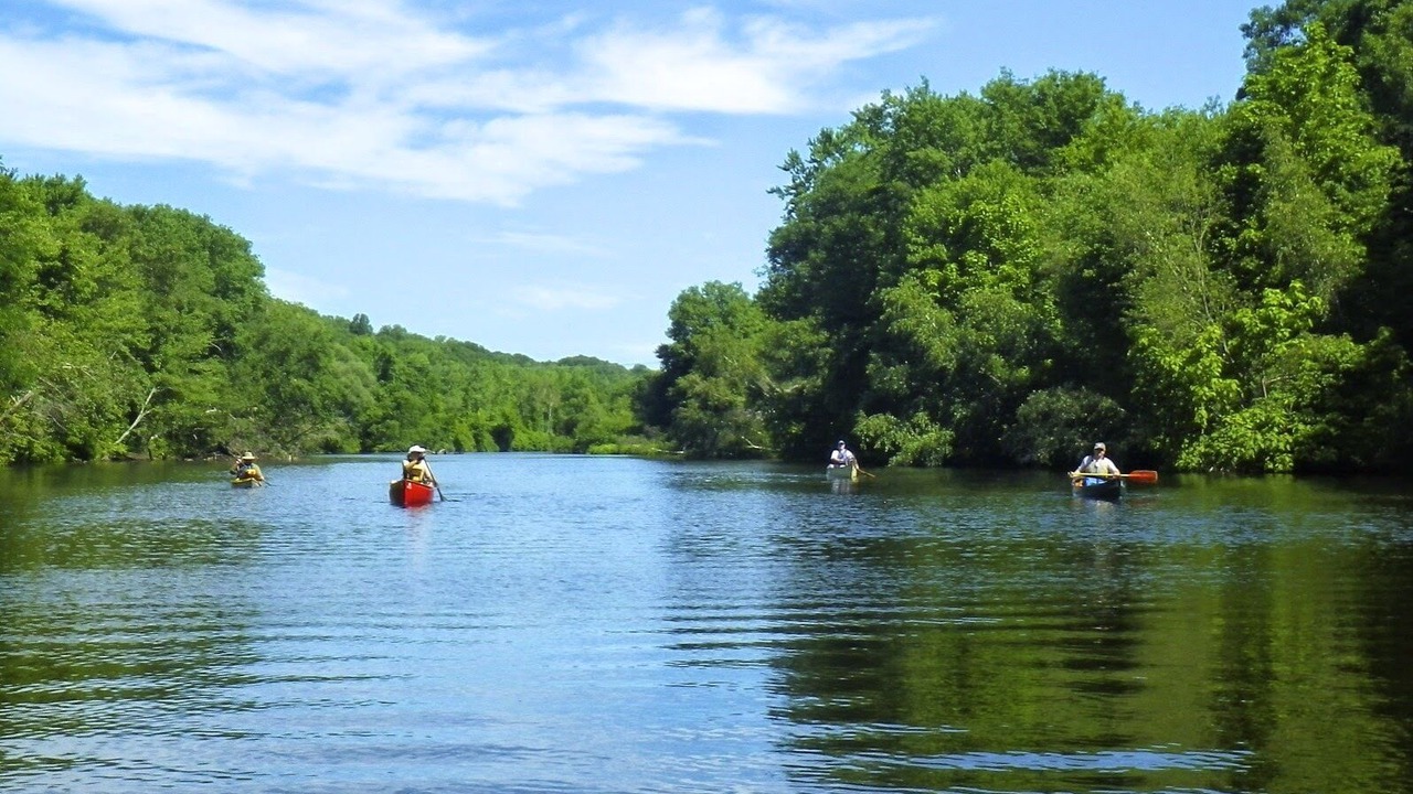 Photo of Others in Eastward Look