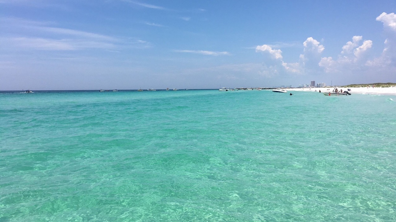 Photo of Others in Biltmore Beach